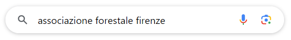 Ausf Firenze su Google ricerca ausf firenze su google